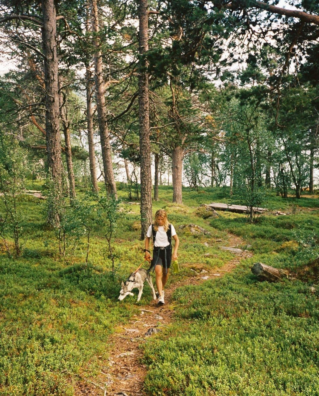 Nature walk