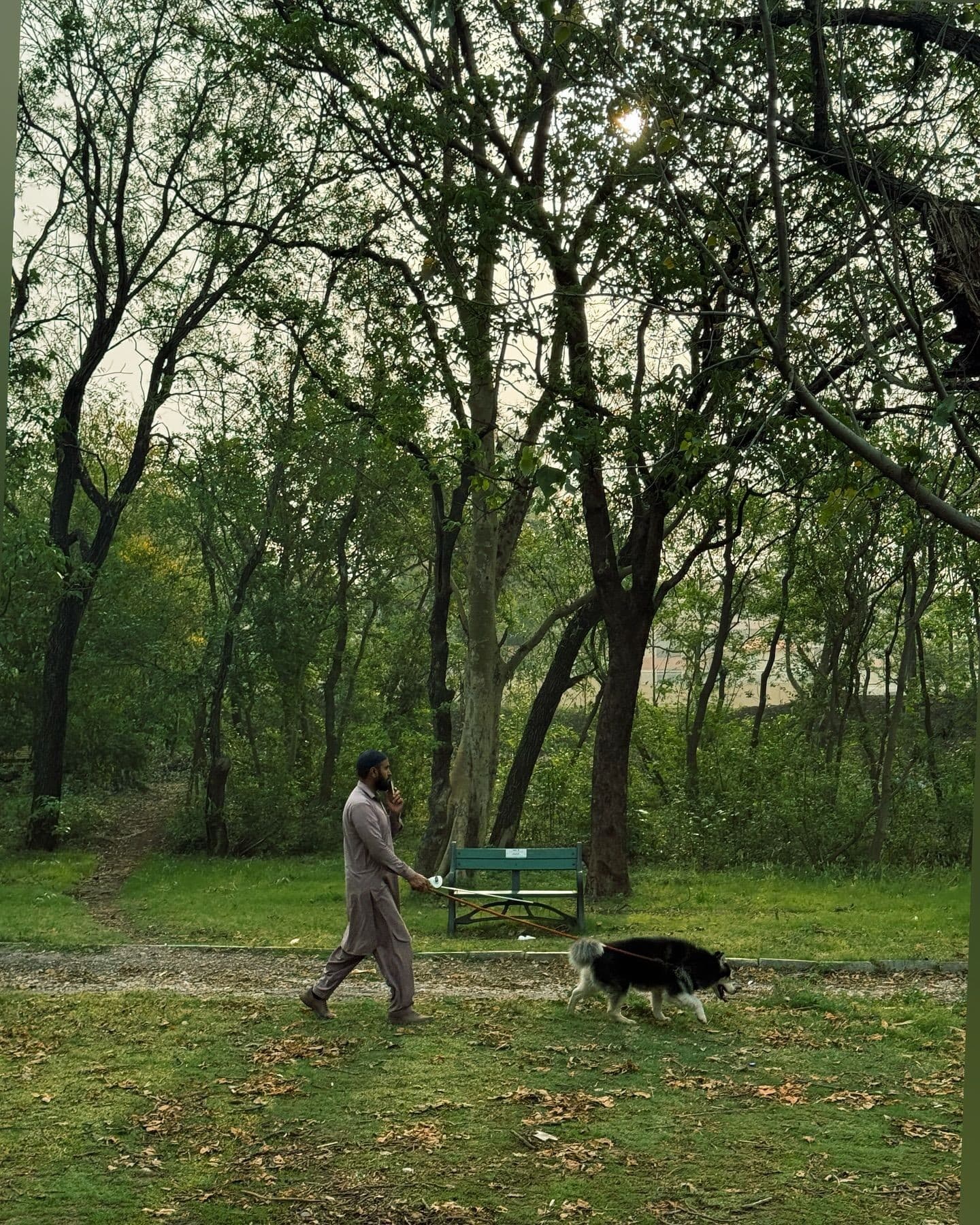 Dog walking