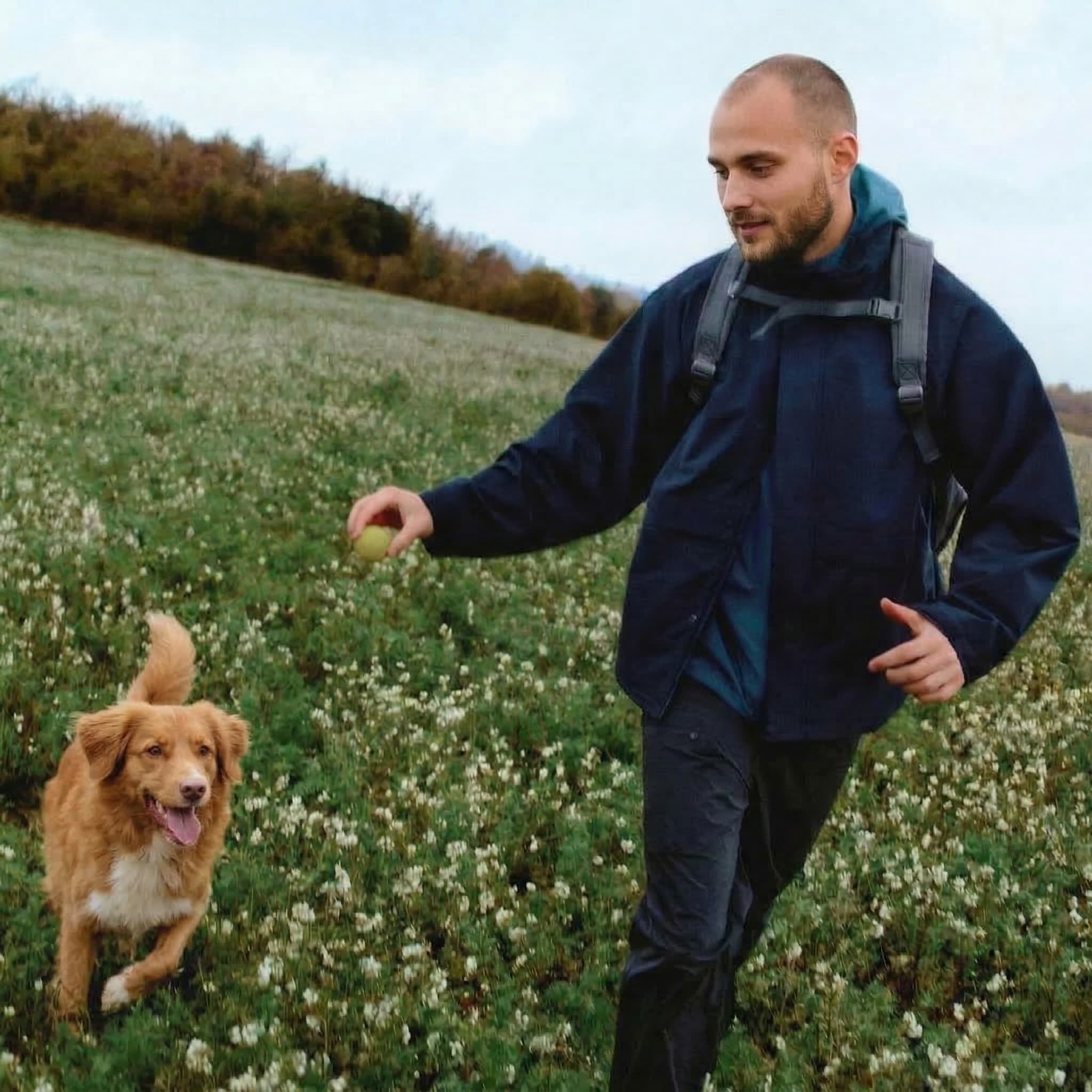 Tom — your dog walker